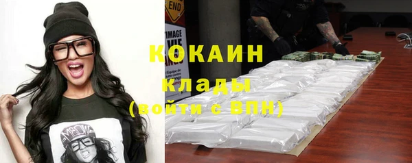 apvp Алексин