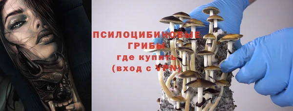 jwh Алзамай