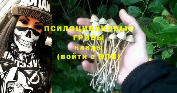 jwh Алзамай