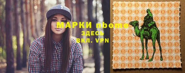 apvp Алексин