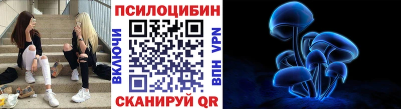 Галлюциногенные грибы Magic Shrooms  ОМГ ОМГ   Гвардейск 